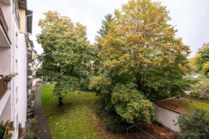 Grünfläche Rückseite