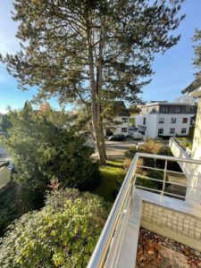 seitlicher Gartenblick